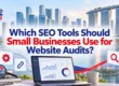 Which SEO Tools Should Small Businesses Use for Website Audits?