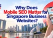 Why Does Mobile SEO Matter for Singapore Business Websites?