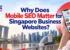 Why Does Mobile SEO Matter for Singapore Business Websites?